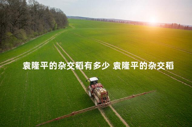 袁隆平的杂交稻有多少 袁隆平的杂交稻亩产多少斤
